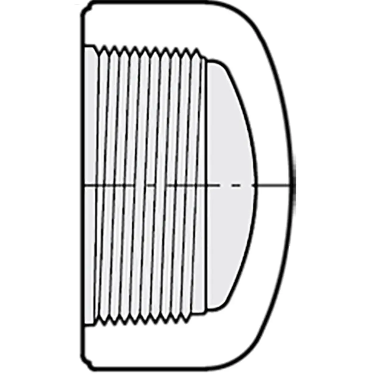 Spears Manufacturing  2 0.5 in. PVC Cap Fipt Sch40