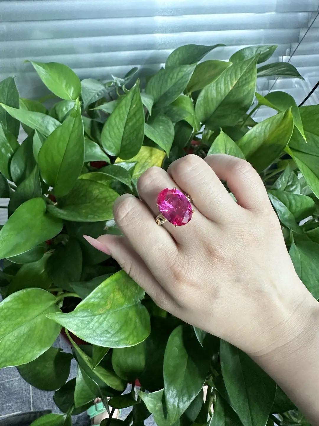 Rose(16483)gc.Red croundum ring