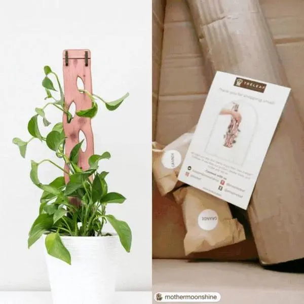 Zella - Wooden Extendable Plant Support Zella - Wooden Extendable Plant Support