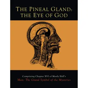 The Pineal Gland: The Eye of God Paperback – July 12, 2015