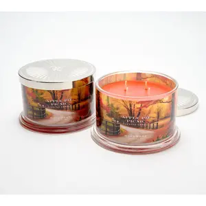 QVC HomeWorx by Slatkin + Co. Set of 2 18oz Apple Pie Scented Candles for Home Decor
