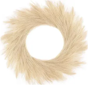 Hananona Artificial Pampas Grass Wreath, 26" Faux Pampas Grass Decor for Home Boho Fall Decoration Modern Christmas Decor (Beige, 1)