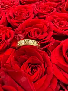 Alianza semi-sólida 10k