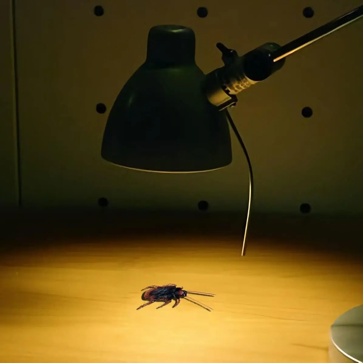 Premium Fake Cockroaches, Pretty Realistic Fake Roaches, Great Way to ...