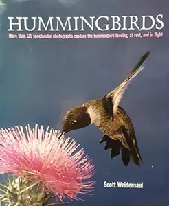 USED-Hummingbirds by Scott Weidensaul (Hardcover)