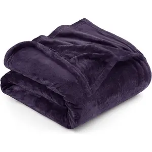 Queen Size Purple 300GSM Anti-Static Fuzzy Microfiber (90x90 Inch)