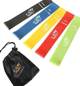 Fit Simplify Resistance Loop Exercise Bands with Instruction Guide and Carry Bag, Set of 5