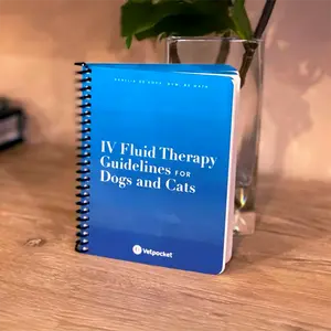 IV Fluid Therapy Guidelines for Dogs and Cats