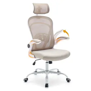Gaomon Ergonomic Office Chair - Adjustable Arms Flip-Up Design, Curved Backrest Lumbar Support, Mesh Upholstery Wide Beige Seat for Bedroom Students