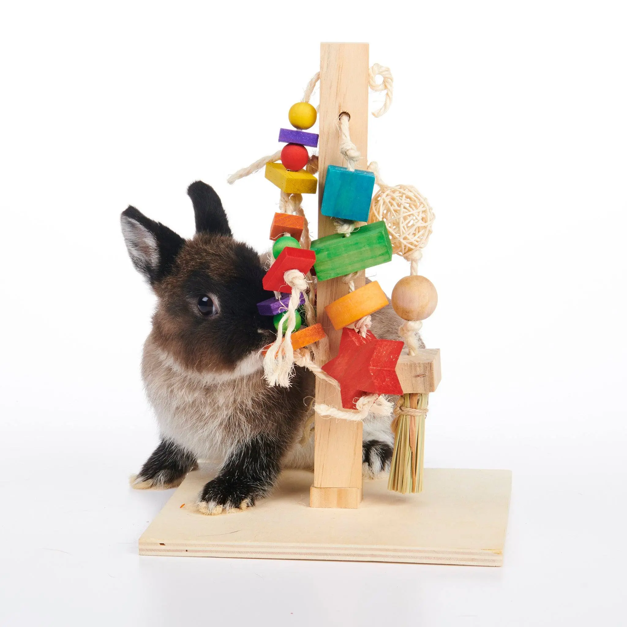 Play Post (Enriched Life by Oxbow)