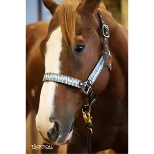 CASSIDY LEATHER HALTER