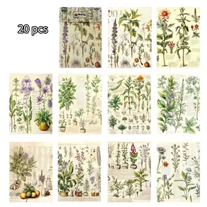 20 Sheets Vintage Large Size Plant Guide Theme Paper, Retro Style Botanical Illustrations, Creative Embellishments, Perfect for Scrapbooking & Craft Projects