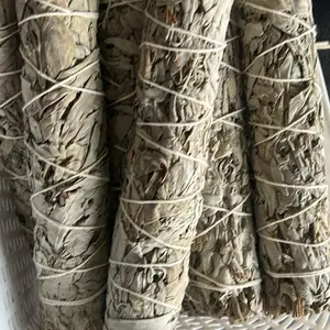 Large White Sage - Simple Product Title Based on Given Information