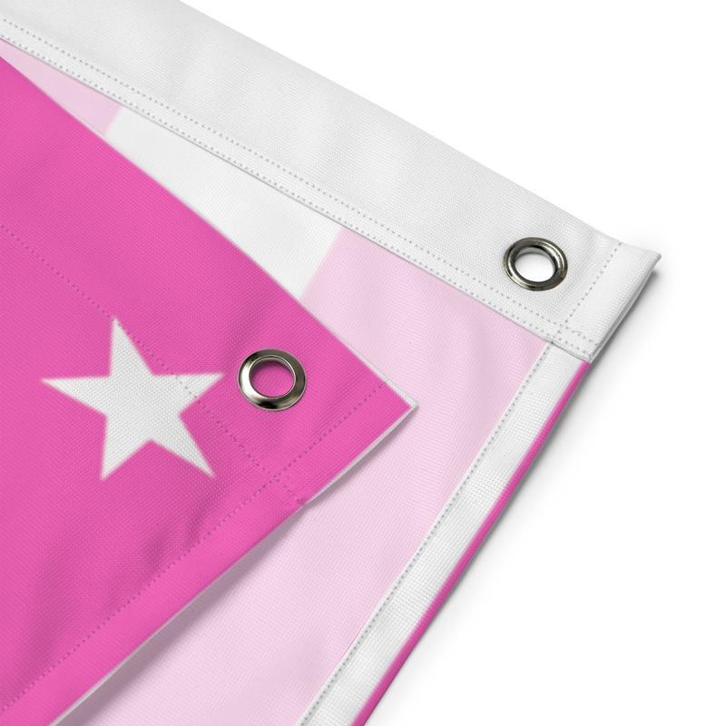 Rhea Ripley Pink American Flag Tapestry  Wall Art 40in*60in Tapestry