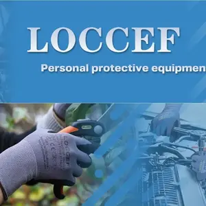 Loccef shop logo