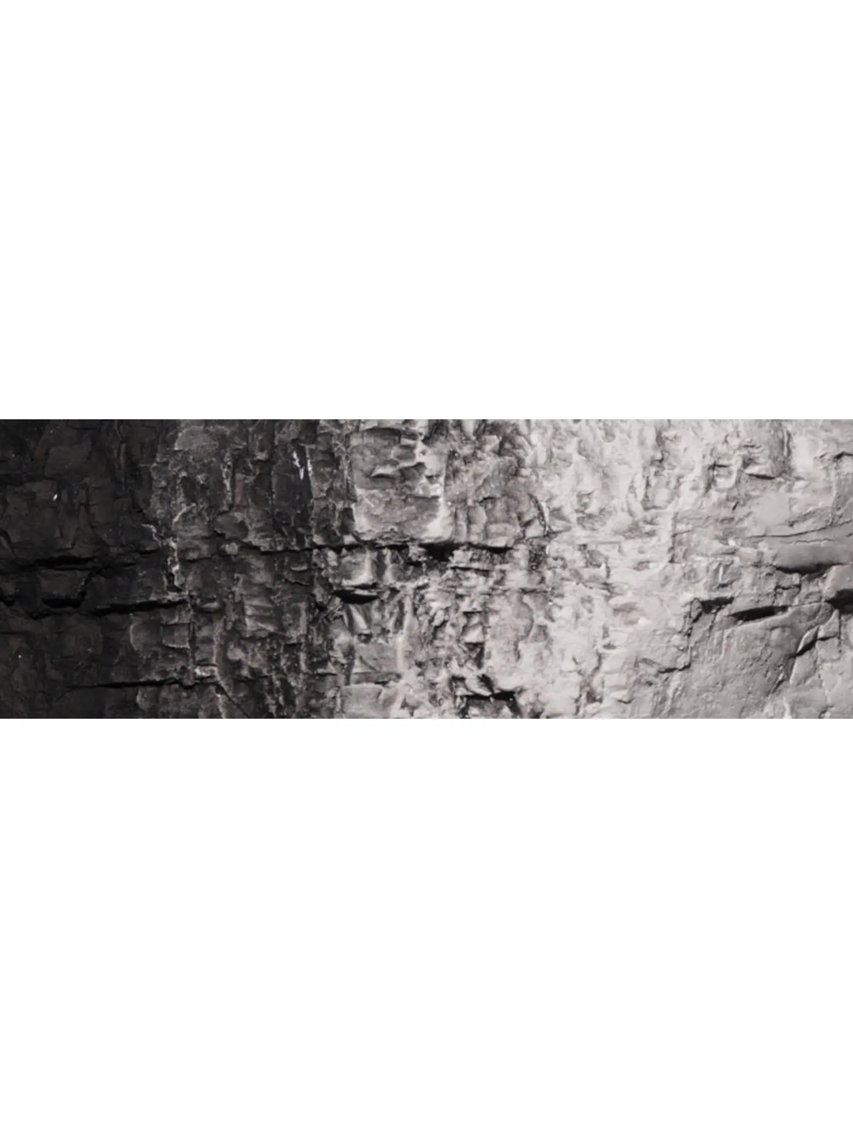 Woodland Scenics Black Terrain Paint - 4 oz