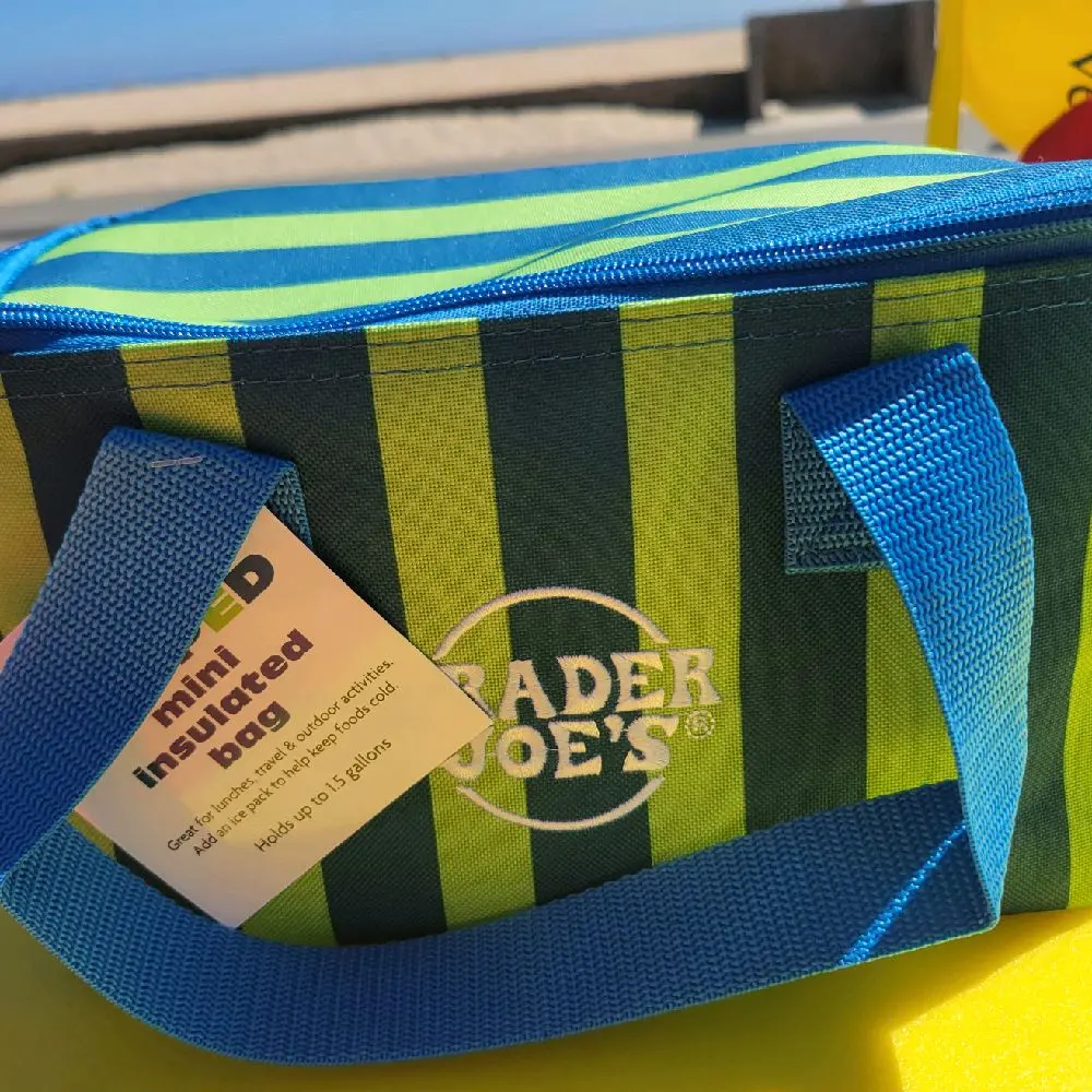 Trader Joe's Striped Mini Insulated Bag