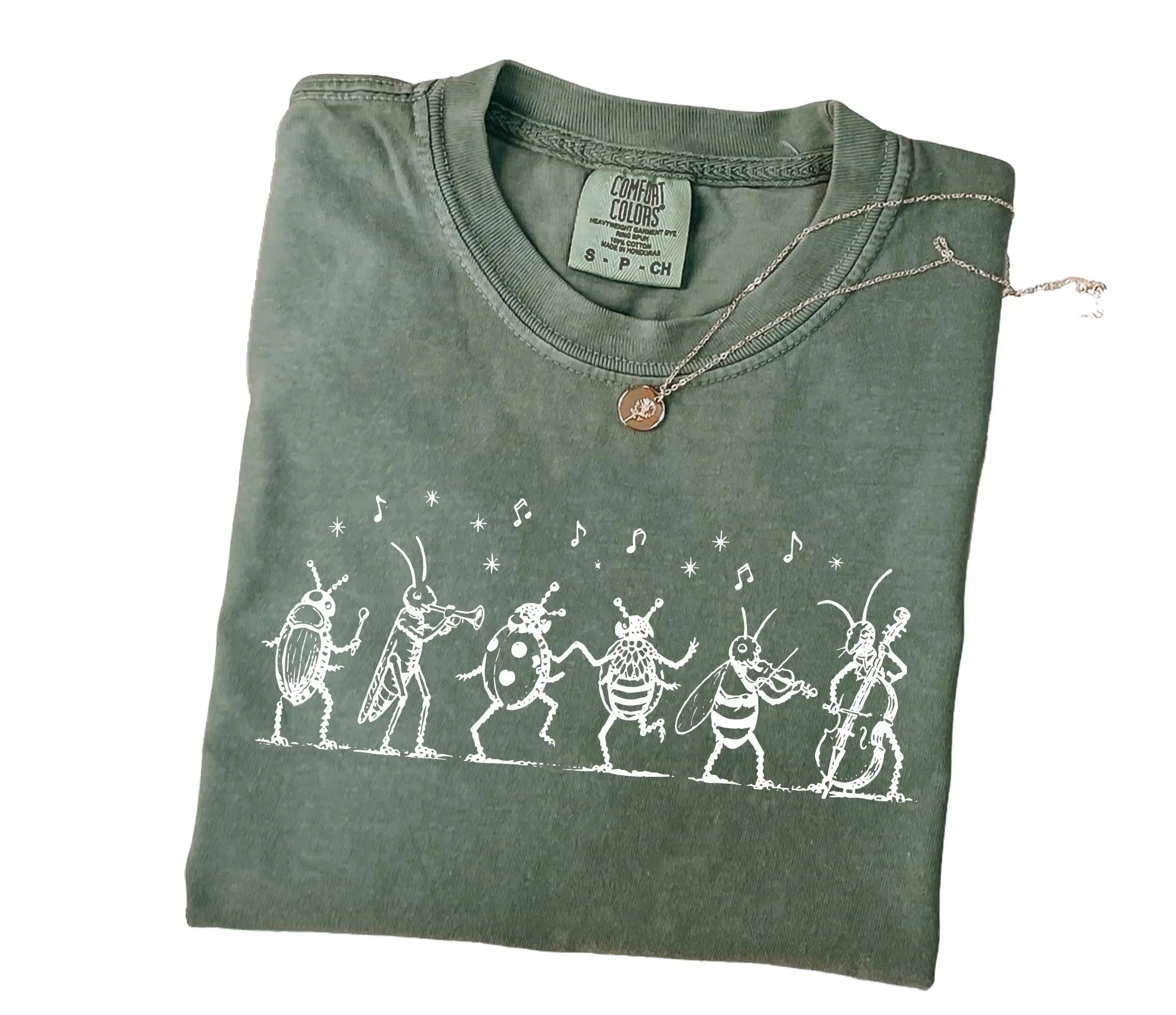 Comfort Colors NK Divide Indie Folk Shirt, the Last of the Bugs Tee, Vintage Insect Music Graphic Tee
