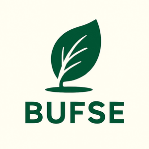 BUFSE LLC
