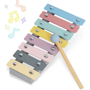 Safe Xylophone for Toddlers - Fun Learning Instrument