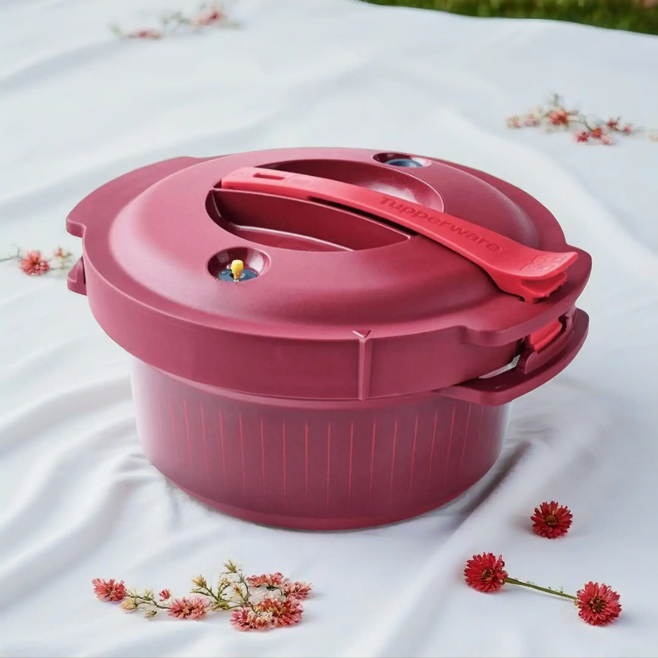 Silicone Lid Microwave Pressure Cooker Cookware - Combines Pressure, Microwave Energy for Speedy, Savory Meals in Minutes