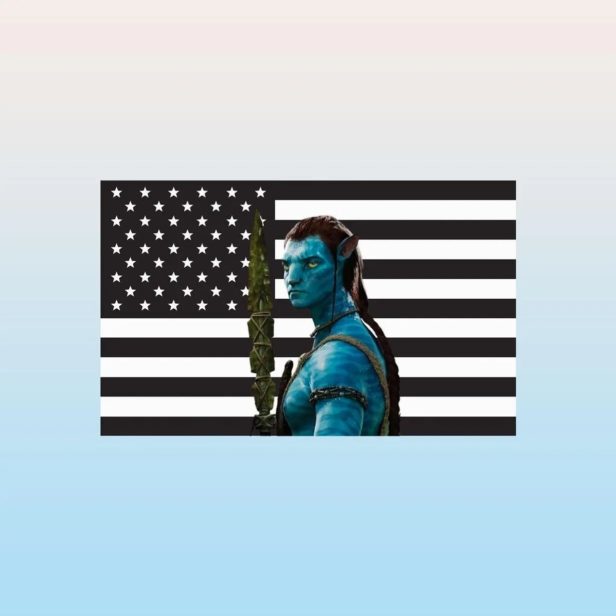 Jake Sully Black American Flag Tapestry – Avatar Wall Art | Sci-Fi Fan Decor | Aesthetic Black Flag | Fantasy Room Gift