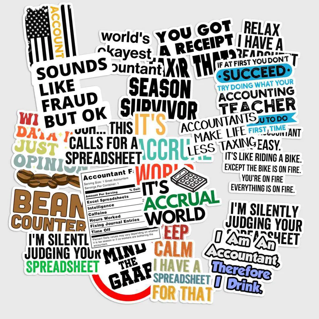 Sticker Pack 20 pcs Accountant Humor Stickers, Finance Career Vinyl ...