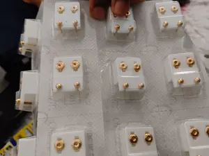 Gold Tone earring| LG | 4unit