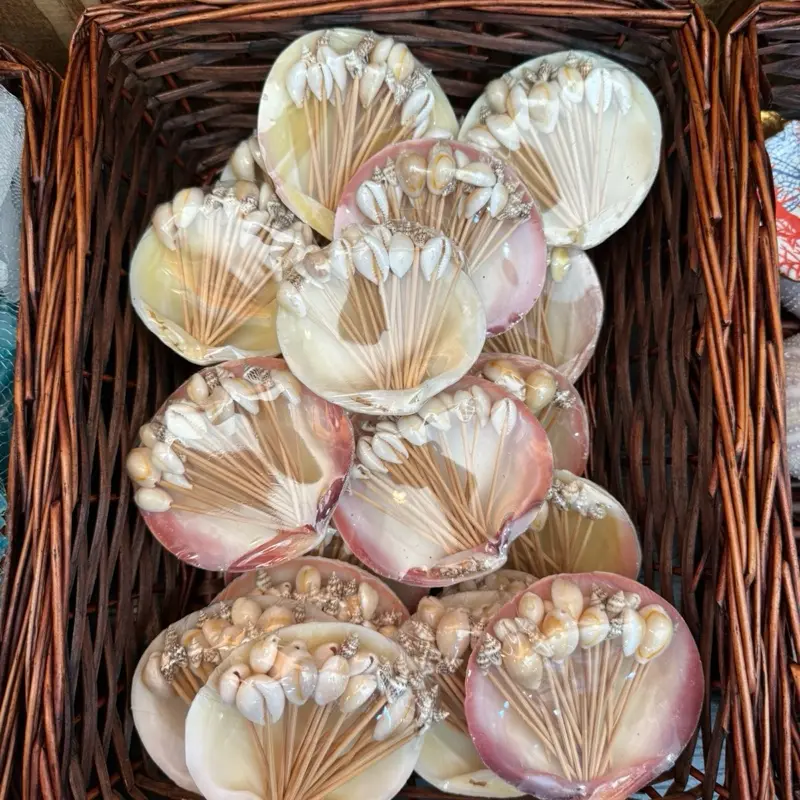 Shell Toothpicks for Hors D'oeuvres Cocktails Stylish Aesthetic Hosting Skewers Natural Seashell Design sauce dish