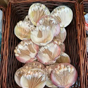 Shell Toothpicks for Hors D'oeuvres Cocktails Stylish Aesthetic Hosting Skewers Natural Seashell Design sauce dish