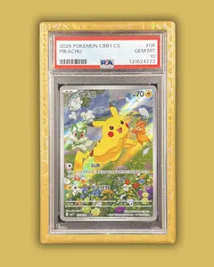 PSA/CGC Slab Bumper Protector Guard (Gold Galaxy) PSA HardGuard