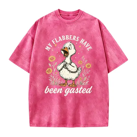 Flabbersgasted Shirt, My Flabbers Have Been Gasted Shirt, Funny Goose Shirt, Goose Lover Gift, Snarky Shirt, Funny Humor Tee