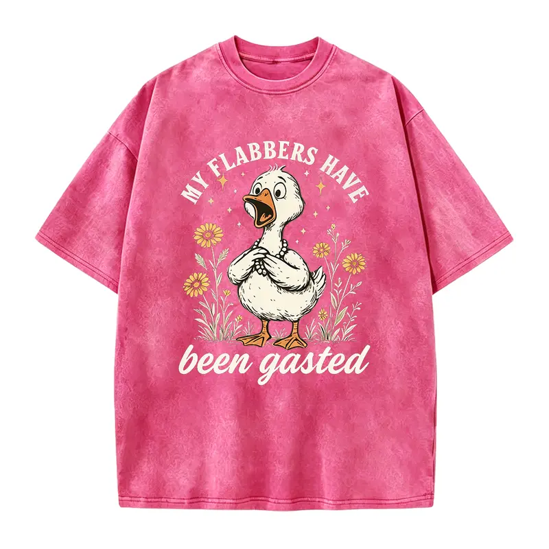 Flabbersgasted Shirt, My Flabbers Have Been Gasted Shirt, Funny Goose Shirt, Goose Lover Gift, Snarky Shirt, Funny Humor Tee