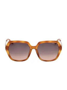 GUESS Female Square-Geometric Plastic Sunglasses