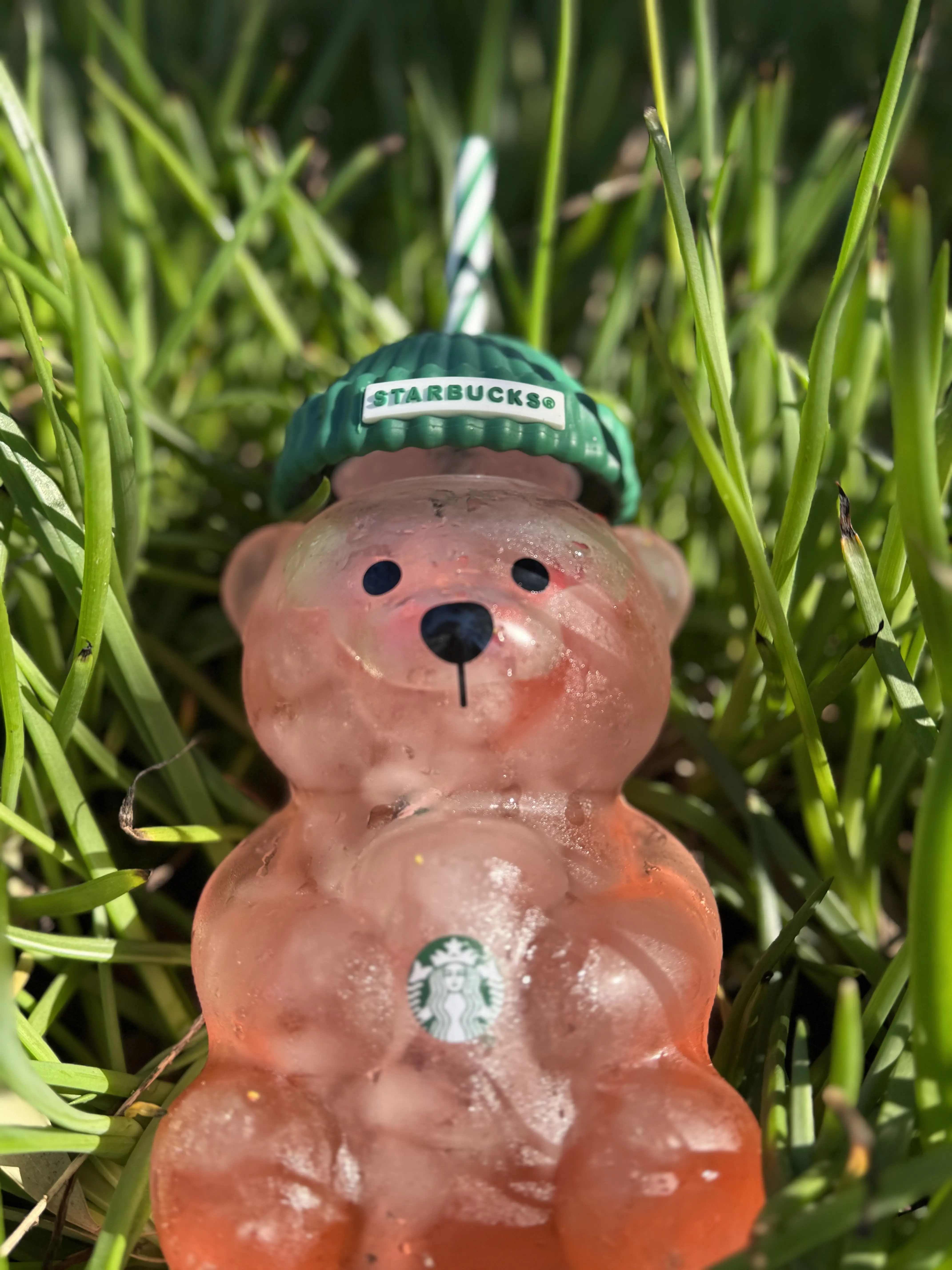 Starbucks Bear Cup - Clear Bear-Shaped Tumbler with Green Lid