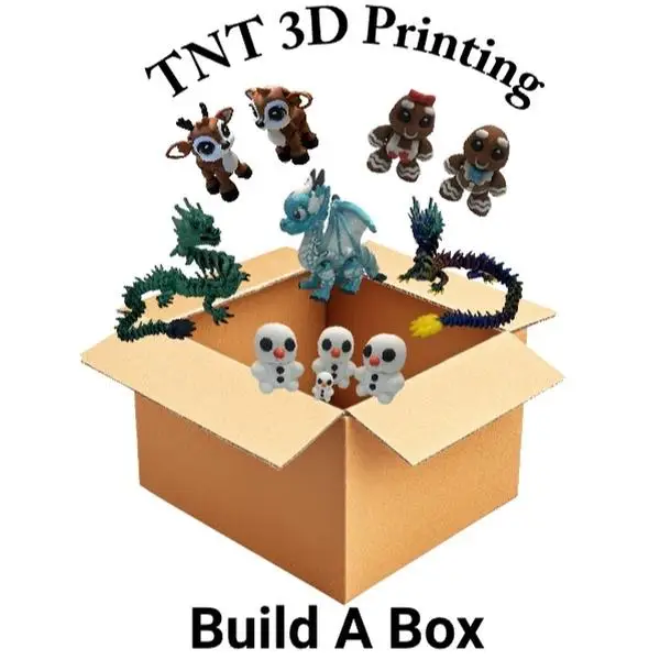 TNT 3D Live Build A Box - $20 to $200 Articulated Figures & 3D Printed Goodies for Home Décor DIY Ornaments Art Deco Style Plastic Figurines Decoratio
