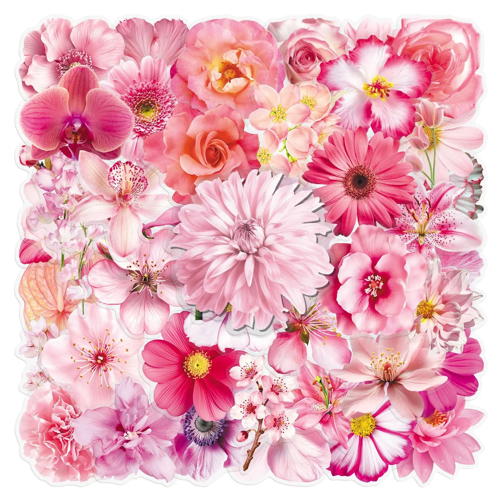 50pcs Flower Powder Clear PET Series Stickers, Cherry Blossom Stickers, Office Supplies and Notepad Accessories, Suitable for Scrapbooks, Journals, Laptops, Water Bottles, Cars and More with Faith-based Designs, Cherry Blossom Decal