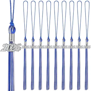 10 Pieces 2026 Graduation Cap Tassels with 2026 Charms, Graduate Hat Decoration for School Party Favors (Blue and White, Silver)