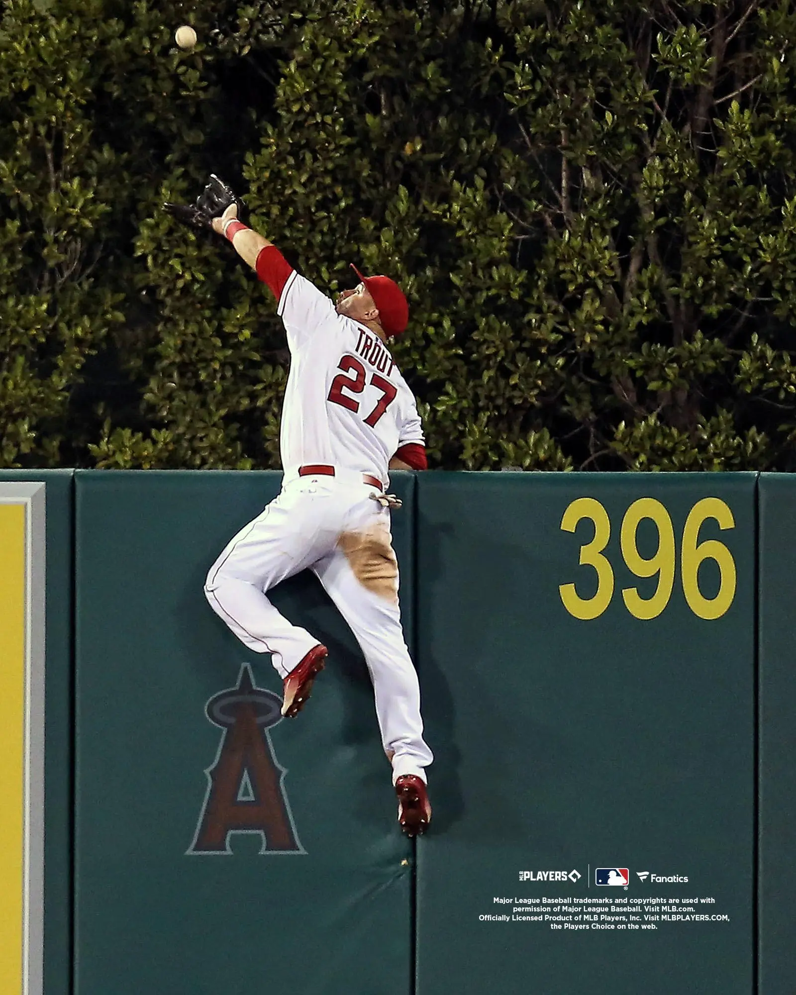 Mike Trout Los Angeles Angels Unsigned Wall Catch Photograph - MLB Memorabilia