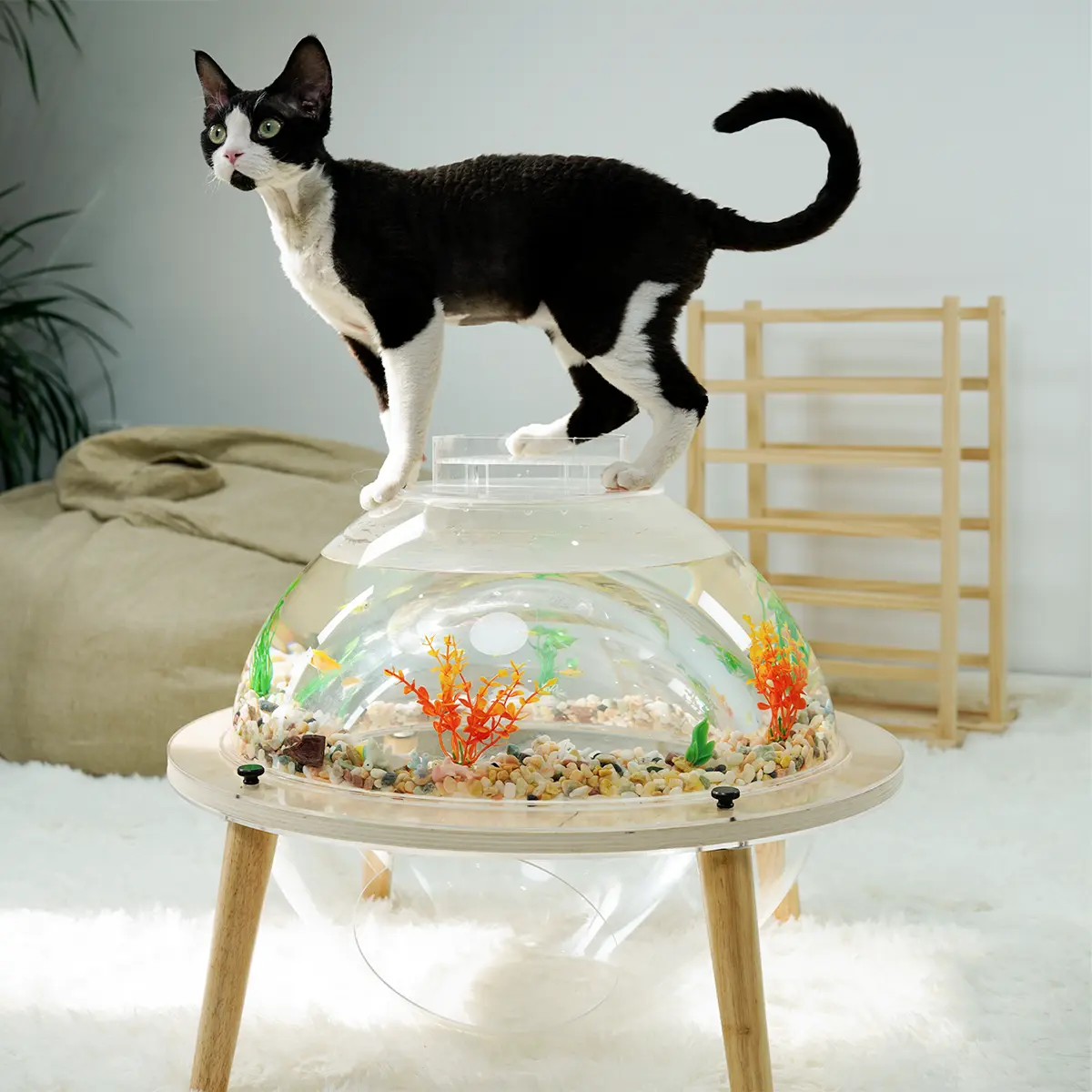 Cat Fish Tank , Cat House Cat Cave Wooden Acrylic Aquarium | Cat Bed ...