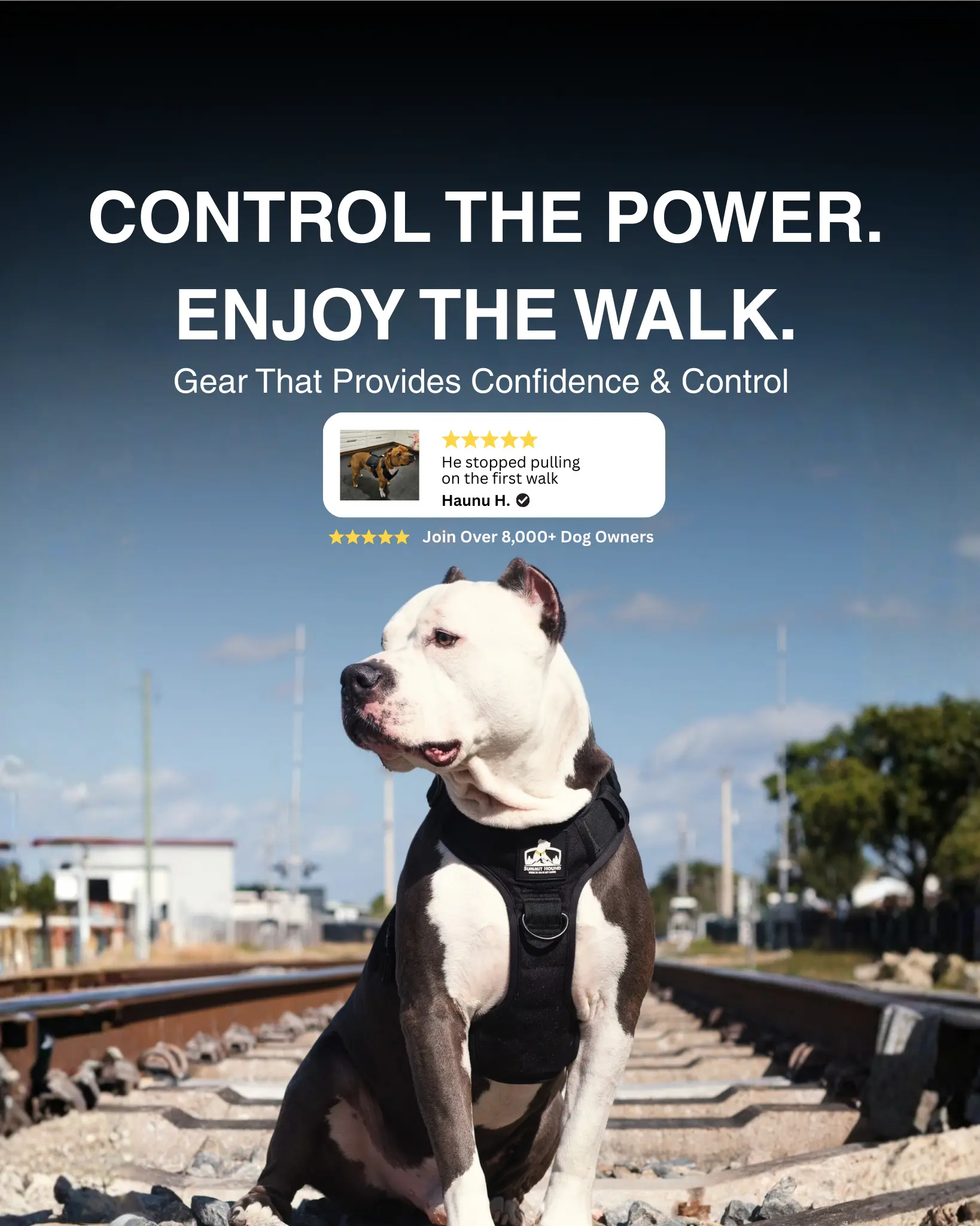 No Pull Bully Proof Harness No Pull Bully Proof Harness
