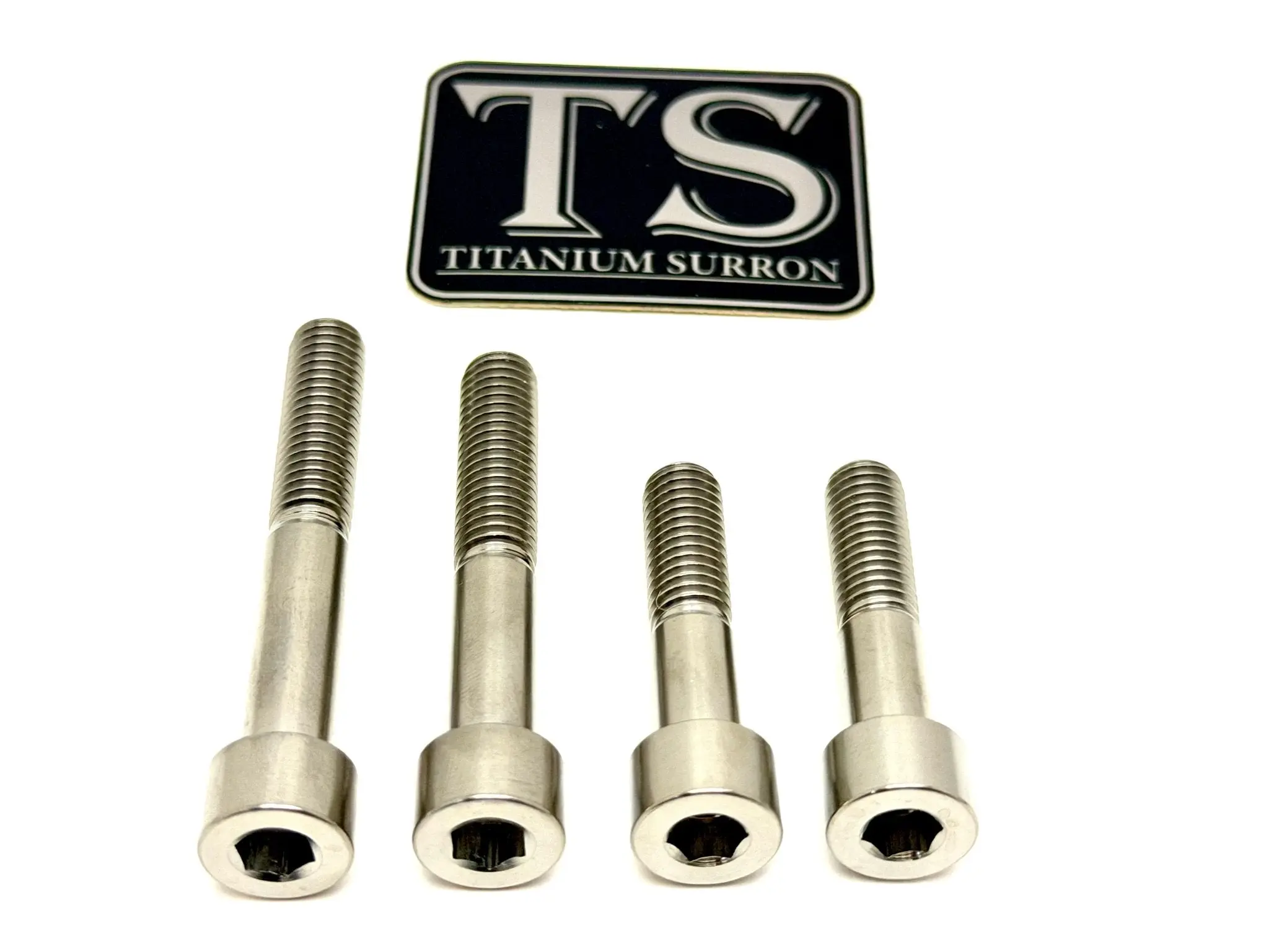 Titanium Motor Bolts - Surron Ultra Bee Titanium Motor Bolts - Surron Ultra Bee