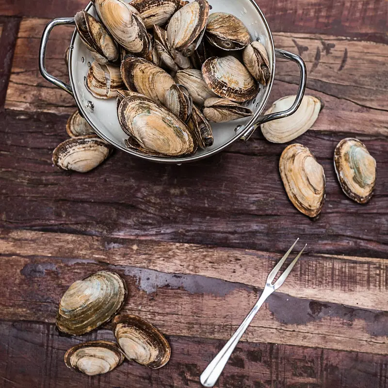 Live Manila Clams – 10 lb Bag | Fresh, Sweet, Premium Clams Shipped Overnight
