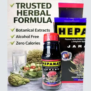 Ocotzotl HEPANAT (Boldo, Alcachofa, Doradilla) 100% Natural Herbal Tonic Drink Juice 500ml