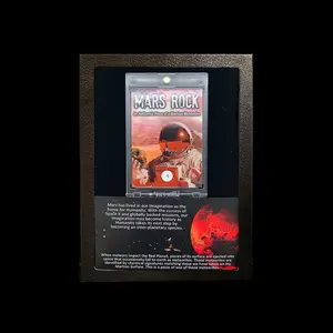 Authentic Mars Meteorite in Collector’s Display Box – Rare Planetary Specimen