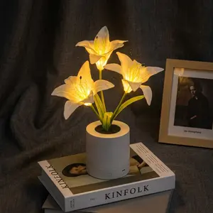 Rechargeable LED Lily Flower Pot Light Indoor Decoration Simulation Flower Christmas Birthday Gift for Female Moms