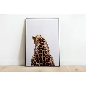 Cheetah Poster