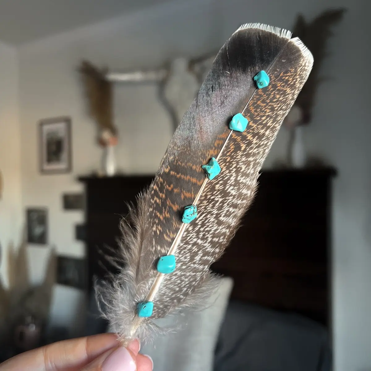 Hat Feather Hat Feather