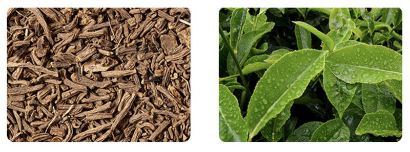 FINN Calming Aid for Dogs - Natural Calming Chews, Melatonin, Stress Support, Separation Support, Sleep Support - 90 Soft Chews Supplements