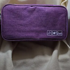 Portable Bra Storage Bag, 1 Count Underwear Sock Organizer Bag, Waterproof Travel Cosmetic Pouch, Travel Organization Pouch, Storage Organizer, Travel Essentials